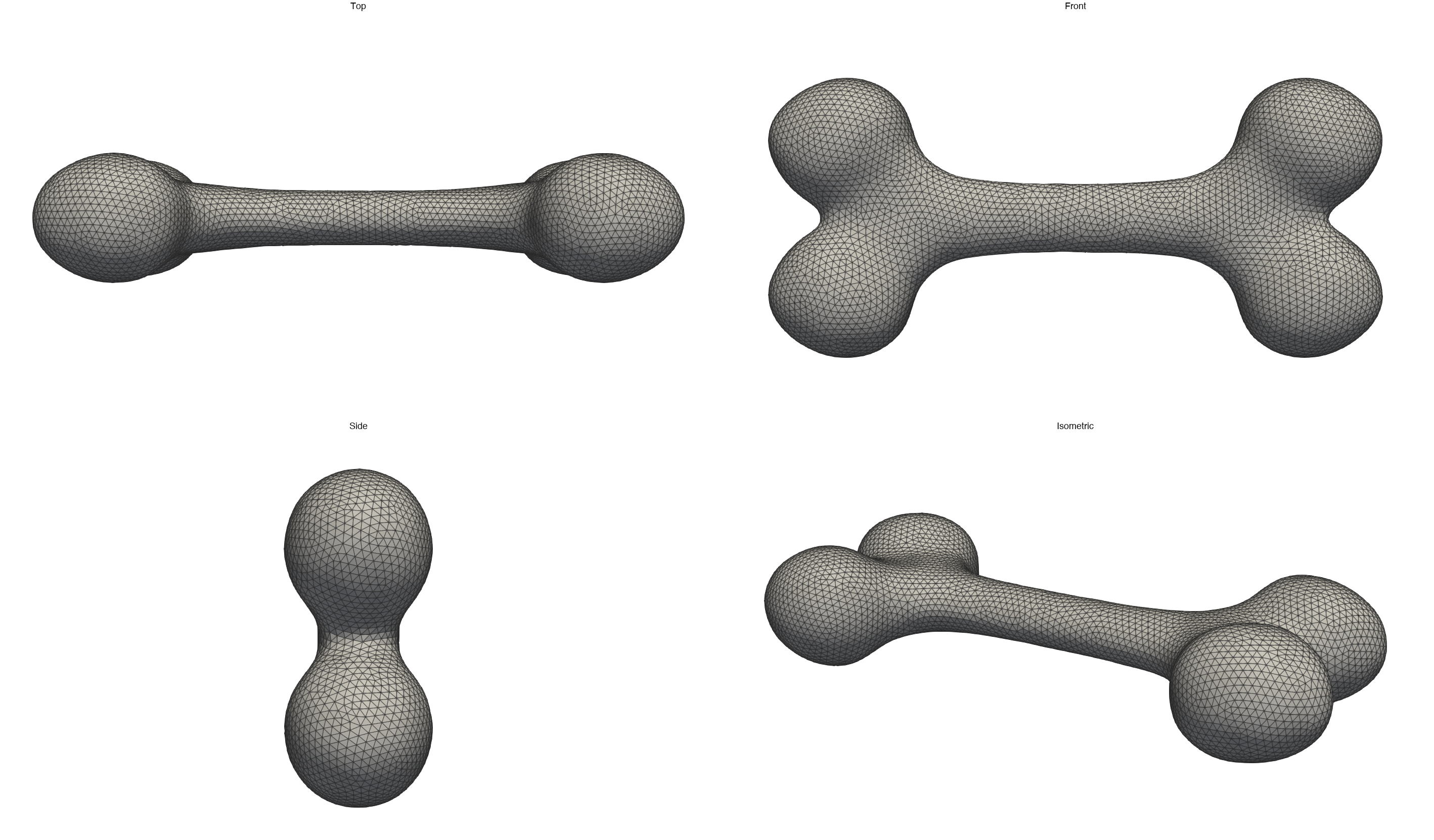 bone_surface.png